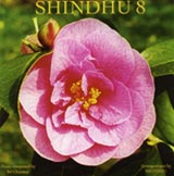 shindhu