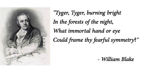 William-blake-tyger-slider-550