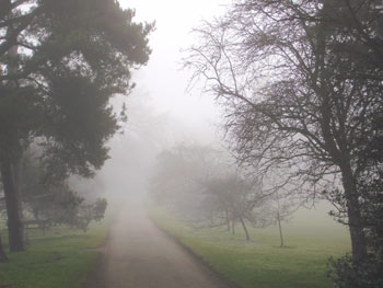 misty-path