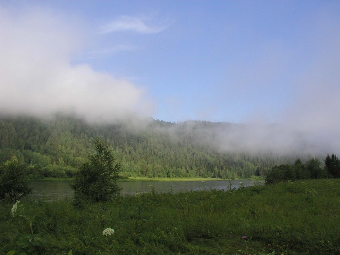 foggy morning