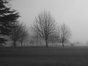 univ-gardens-bw