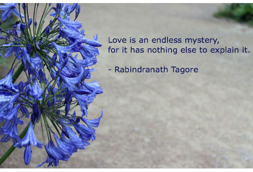 tagore-love-endless-mystery-slider-500-340