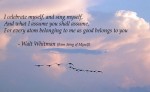Whitman poetry
