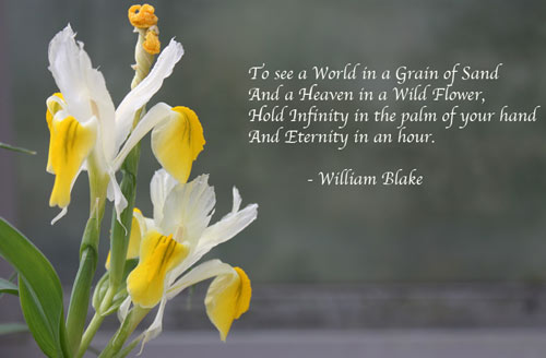 william blake